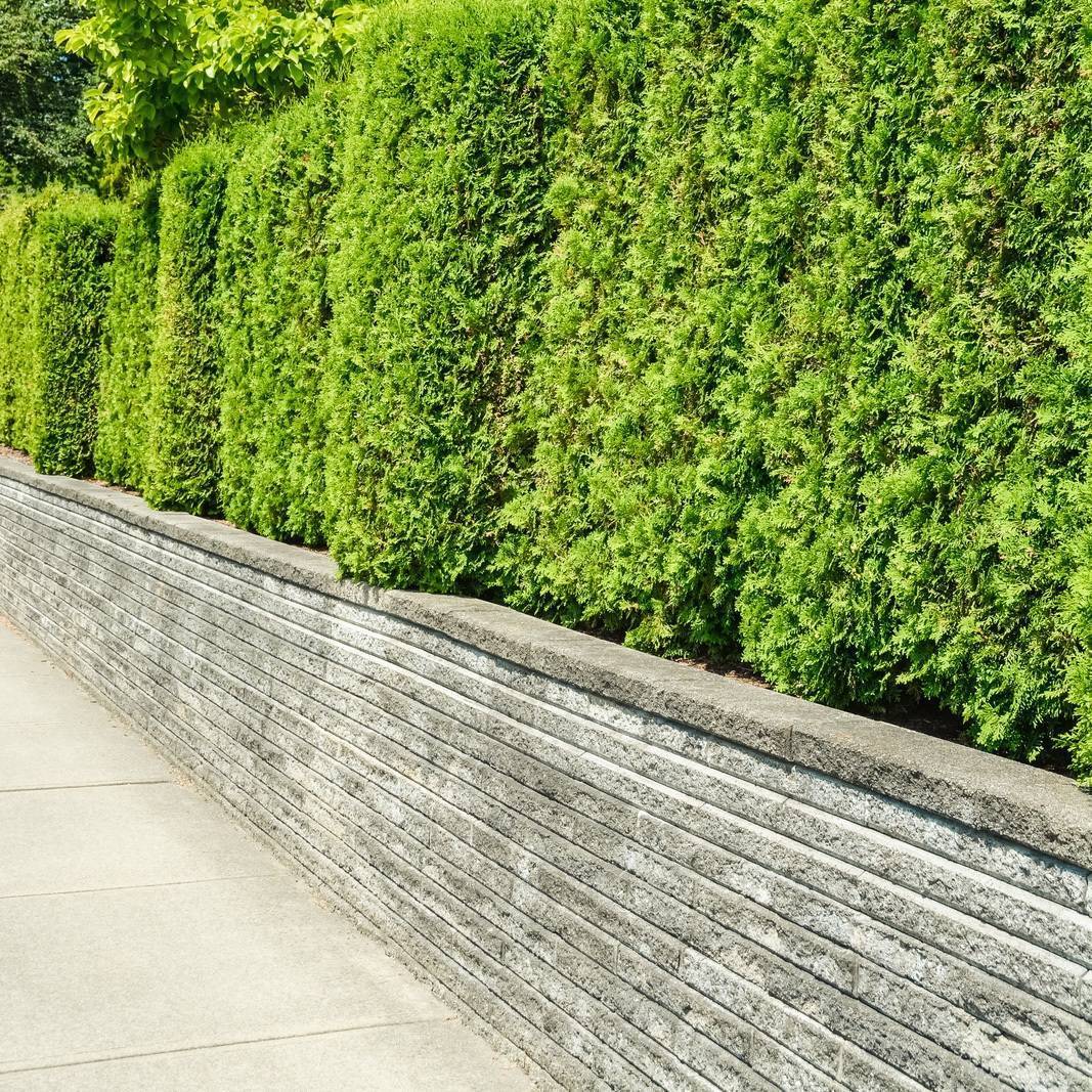 Concrete Contractors Tulsa OK 33113156 Concrete Retaining Wall Trees Terrace Square