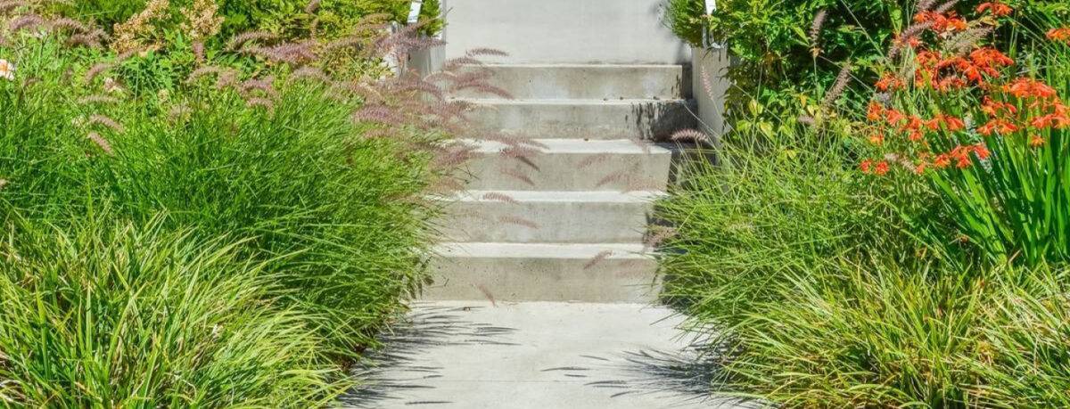 Grass Garden Concrete Walkway